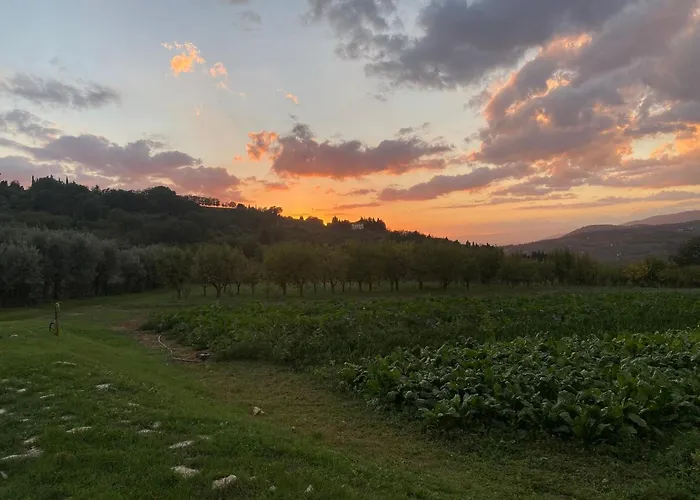 Appartamento Piero